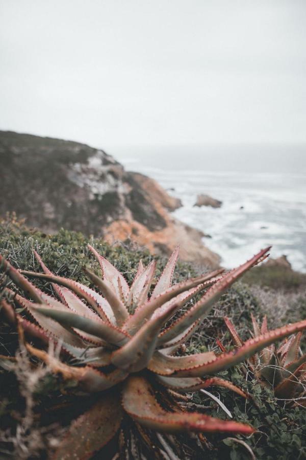 Valhalla Self Catering Mossel Bay Exteriér fotografie